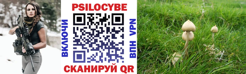 маркетплейс Telegram  Красноуфимск  Псилоцибиновые грибы GOLDEN TEACHER  закладка 