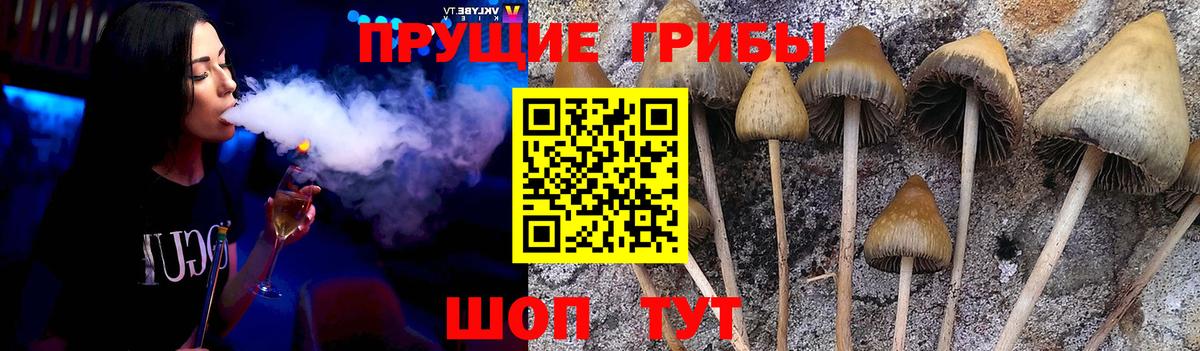 наркошоп  Вход с VPN  Красноуфимск  Галлюциногенные грибы прущие грибы 